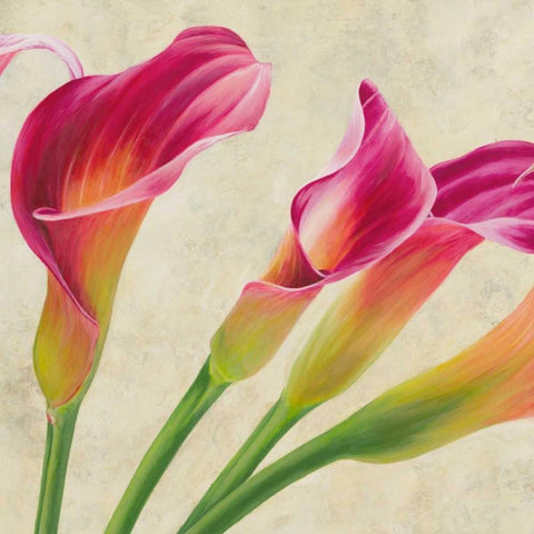 Calla parade White Modern Wood Framed Art Print with Double Matting by Villa, Luca