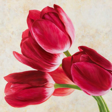 Tulip concerto White Modern Wood Framed Art Print with Double Matting by Villa, Luca