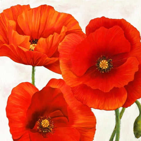 Poppies I White Modern Wood Framed Art Print with Double Matting by Villa, Luca