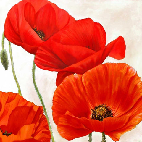 Poppies II White Modern Wood Framed Art Print by Villa, Luca