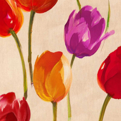 Tulip Funk (detail) Black Modern Wood Framed Art Print by Villa, Luca