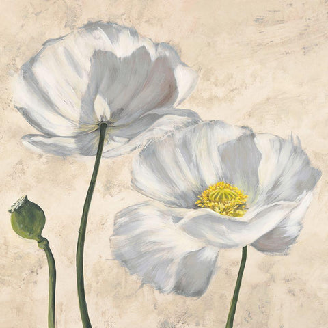 Poppies in White I White Modern Wood Framed Art Print with Double Matting by Luca, Villa