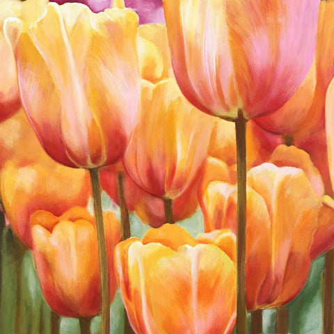 Spring Tulips II Black Modern Wood Framed Art Print by Villa, Luca