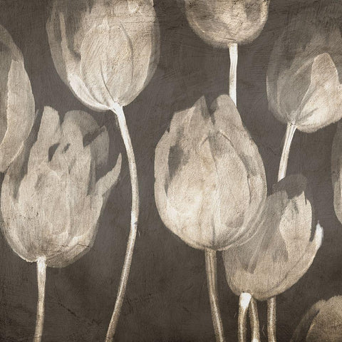 Washed Tulips I Black Modern Wood Framed Art Print by Villa, Luca