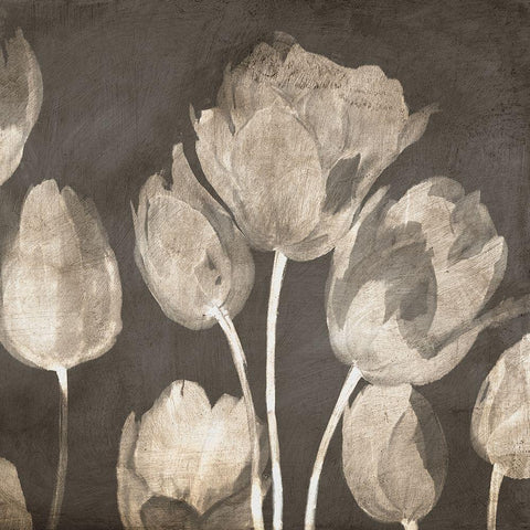 Washed Tulips II White Modern Wood Framed Art Print with Double Matting by Villa, Luca