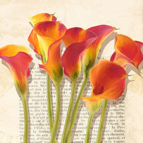 Histoires de Callas (detail) Gold Ornate Wood Framed Art Print with Double Matting by Villa, Luca