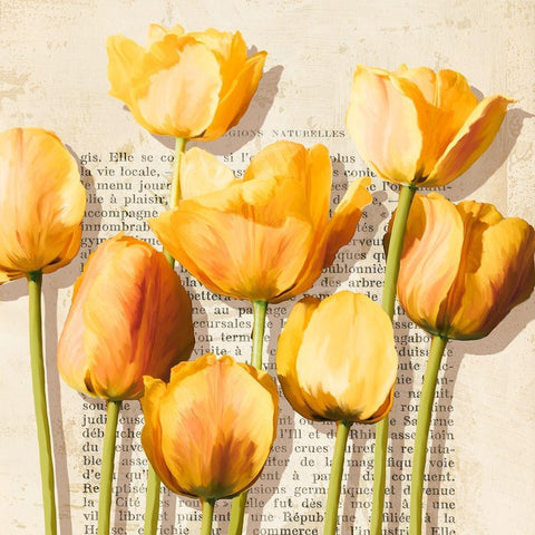 Histoires de Tulipes (detail) Black Modern Wood Framed Art Print with Double Matting by Villa, Luca