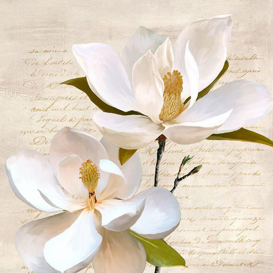 Image Only