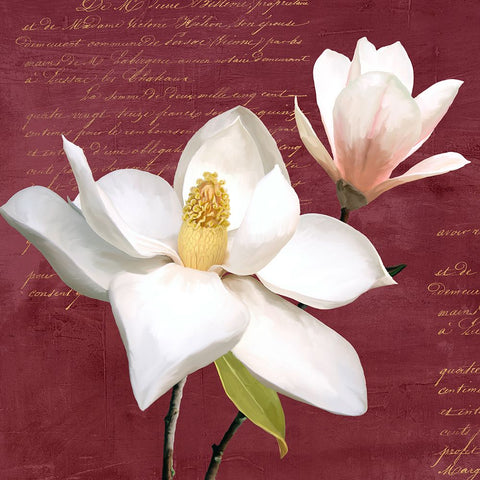 Burgundy Magnolia I Black Ornate Wood Framed Art Print with Double Matting by Villa, Luca