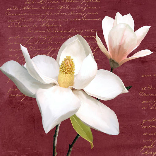 Image Only