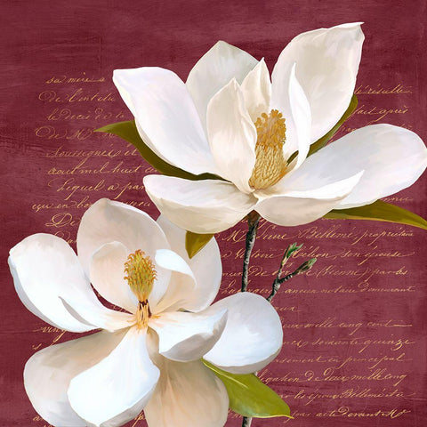 Burgundy Magnolia II White Modern Wood Framed Art Print by Villa, Luca