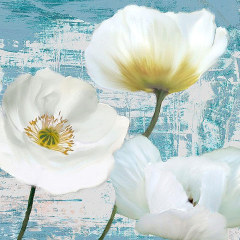 Washed Poppies (Aqua) II White Modern Wood Framed Art Print with Double Matting by Sanna, Leonardo