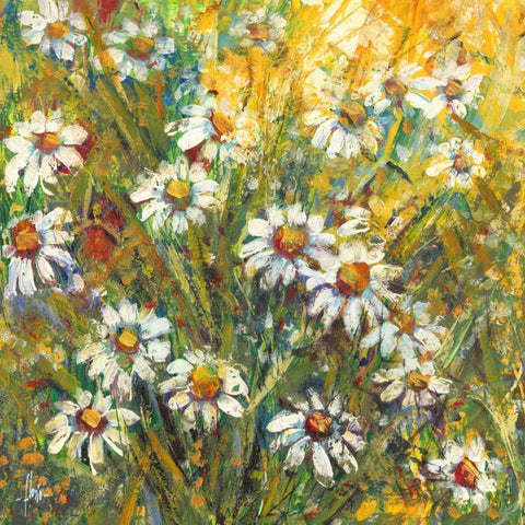 Margherite nel sole White Modern Wood Framed Art Print by Florio, Luigi