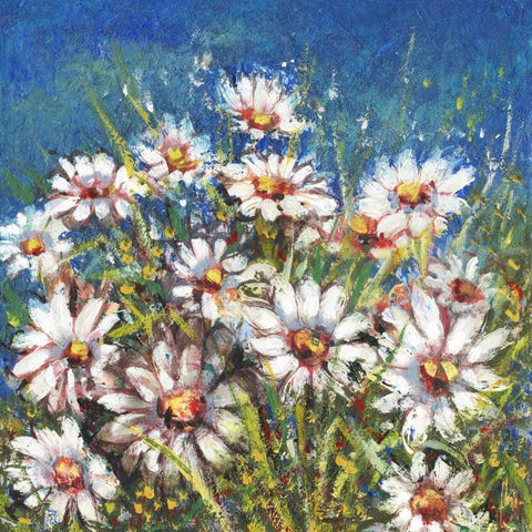 Campo di margherite White Modern Wood Framed Art Print by Florio, Luigi