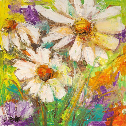 Margherite in fiore White Modern Wood Framed Art Print by Luigi, Florio