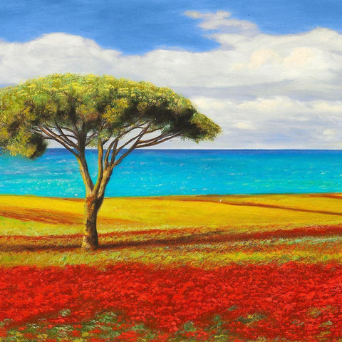 Mediterraneo I Black Modern Wood Framed Art Print with Double Matting by Angelo, Masera