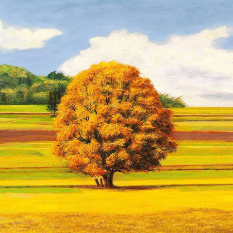 Pianure serene I (detail) White Modern Wood Framed Art Print by Angelo, Masera