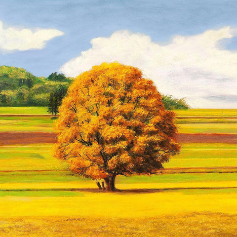 Pianure serene I (detail) White Modern Wood Framed Art Print with Double Matting by Angelo, Masera