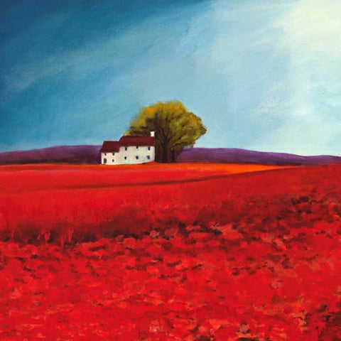 Field of poppies White Modern Wood Framed Art Print with Double Matting by Bloom, Philip