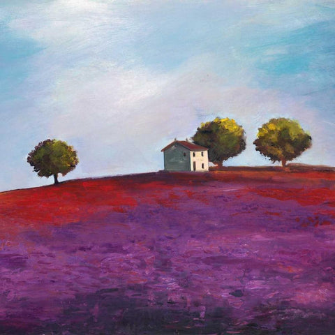 Late Afternoon Black Modern Wood Framed Art Print by Bloom, Philip