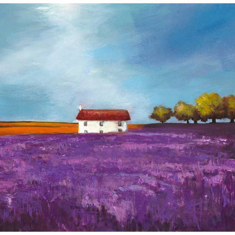 Field of Lavender White Modern Wood Framed Art Print by Bloom, Philip