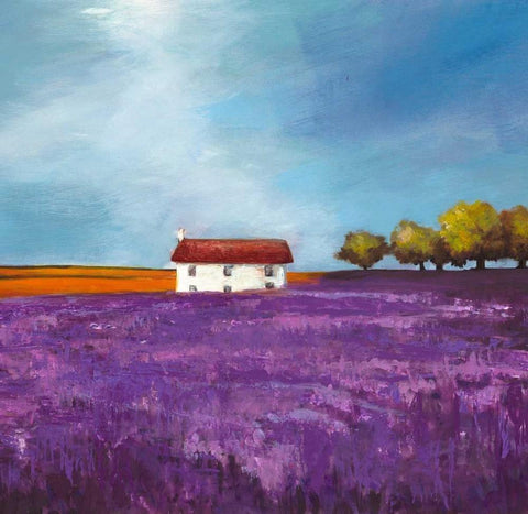 Field of Lavender White Modern Wood Framed Art Print with Double Matting by Bloom, Philip