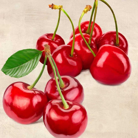 Cherries Black Modern Wood Framed Art Print by Barbieri, Remo