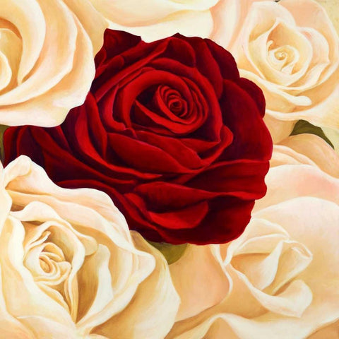 Rose composition Black Modern Wood Framed Art Print by Biffi, Serena