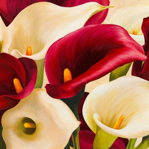 Calla composition Gold Ornate Wood Framed Art Print with Double Matting by Biffi, Serena