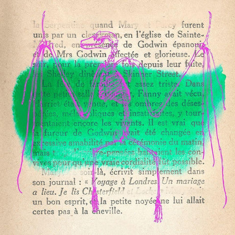 Memories of the Wild II Black Modern Wood Framed Art Print with Double Matting by Stef, Lamanche