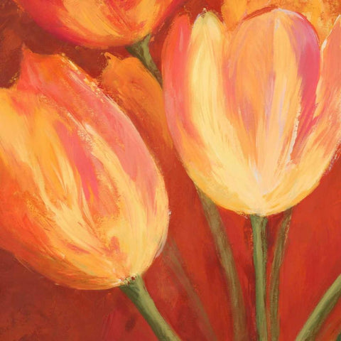 Orange Tulips (detail) Black Modern Wood Framed Art Print by Mei, Silvia