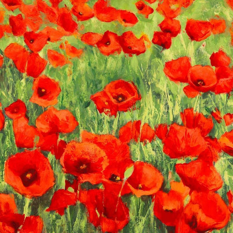 Poppies Black Modern Wood Framed Art Print by Mei, Silvia