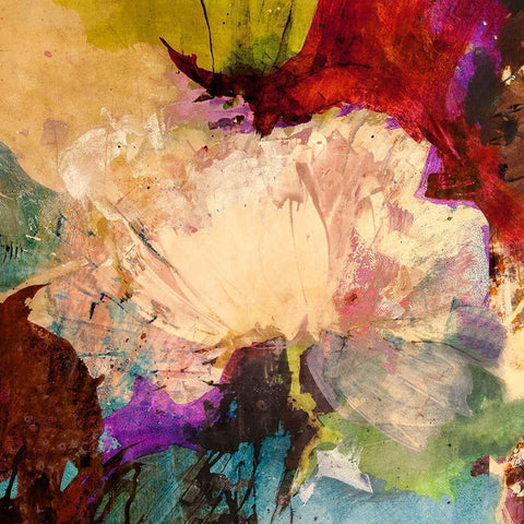 Floating Flowers I (detail) Black Modern Wood Framed Art Print with Double Matting by Stone, Jim
