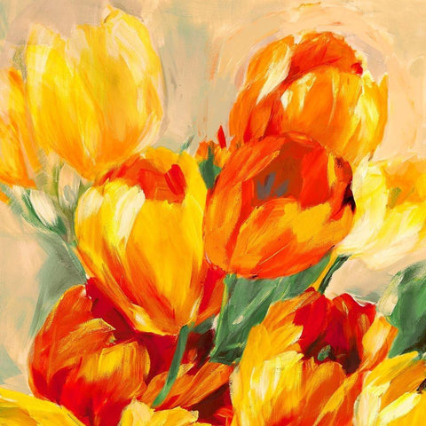 Tulips in the Sun I White Modern Wood Framed Art Print with Double Matting by Stone, Jim