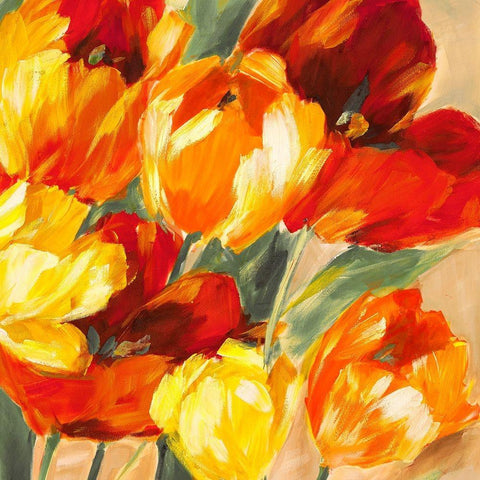 Tulips in the Sun II Black Ornate Wood Framed Art Print with Double Matting by Stone, Jim