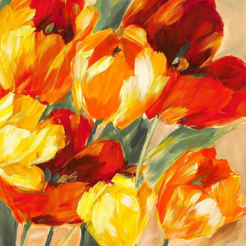 Tulips in the Sun II White Modern Wood Framed Art Print by Stone, Jim