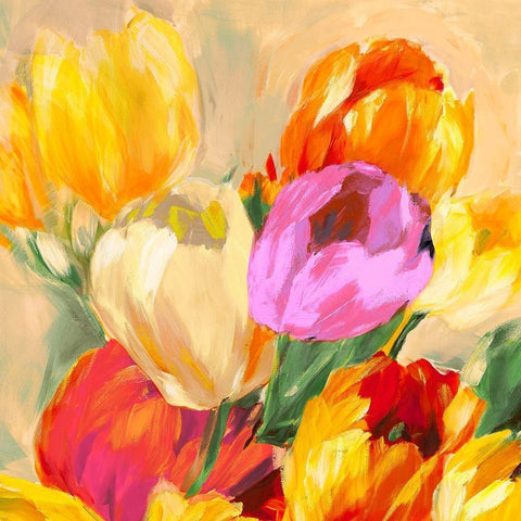 Colorful Tulips I Black Modern Wood Framed Art Print with Double Matting by Stone, Jim
