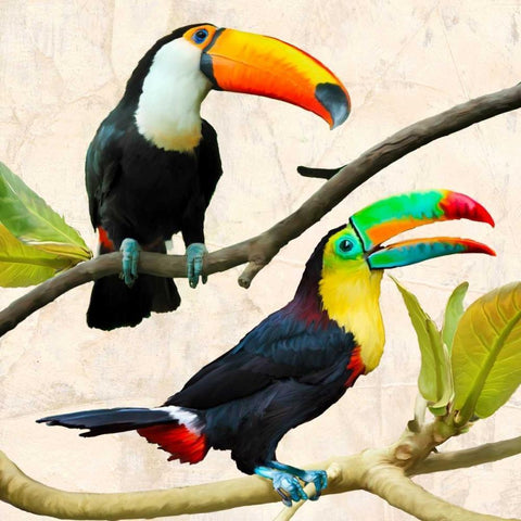 Best Friends White Modern Wood Framed Art Print by Rizzardi, Teo