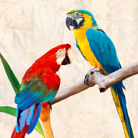 Lovers Black Modern Wood Framed Art Print by Rizzardi, Teo