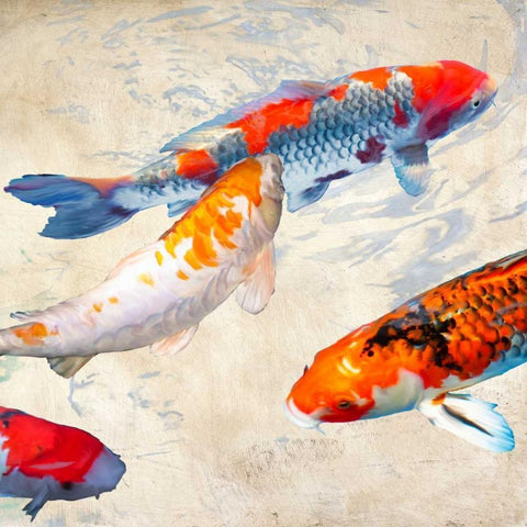 Koi II White Modern Wood Framed Art Print by Rizzardi, Teo