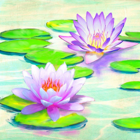 Nympheas I Black Modern Wood Framed Art Print with Double Matting by Rizzardi, Teo