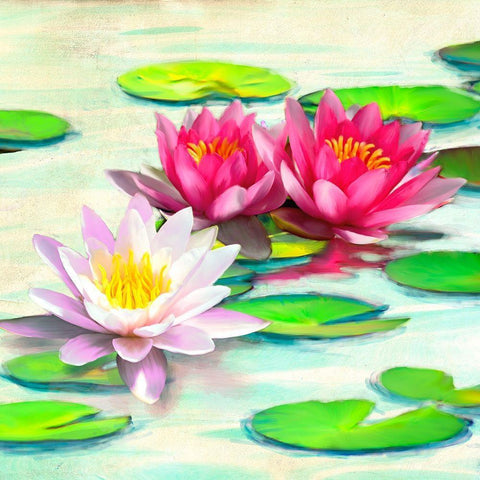 Nympheas II Gold Ornate Wood Framed Art Print with Double Matting by Rizzardi, Teo