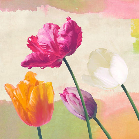 Florilegium I (detail) Black Modern Wood Framed Art Print with Double Matting by Rizzardi, Teo