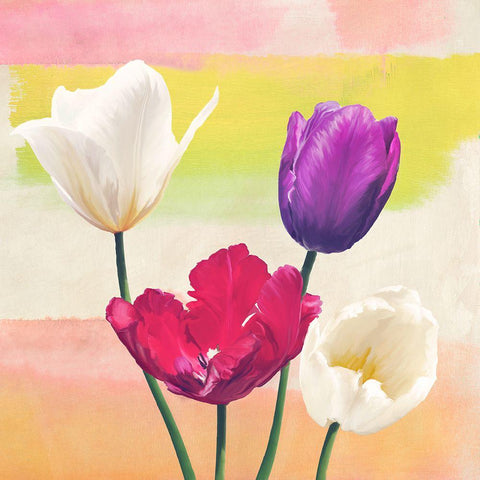 Florilegium II (detail) Black Modern Wood Framed Art Print by Rizzardi, Teo