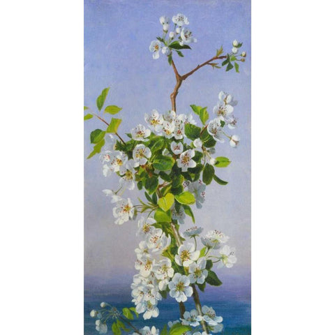 Blossom I White Modern Wood Framed Art Print by Anderson, Sophie