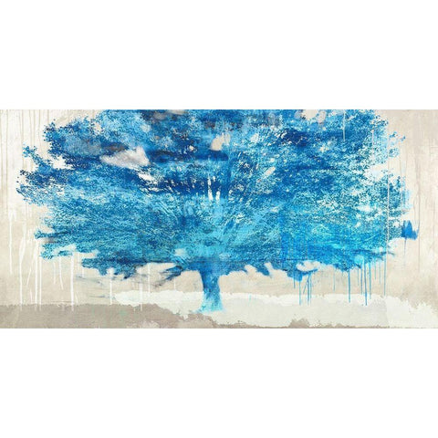 Treexplosion Black Modern Wood Framed Art Print with Double Matting by Alex, Blanco