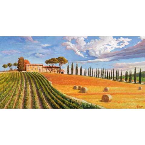 Colline toscane Black Modern Wood Framed Art Print with Double Matting by Galasso, Adriano