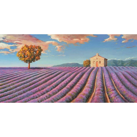 Campi di lavanda White Modern Wood Framed Art Print by Galasso, Adriano