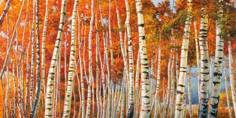 Betulle d autunno White Modern Wood Framed Art Print with Double Matting by Galasso, Adriano