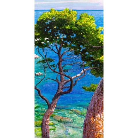 Lavandou II White Modern Wood Framed Art Print by Galasso, Adriano